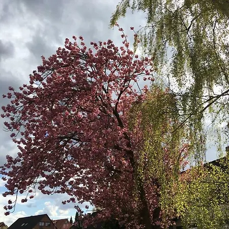 Haus Osterwiese Appartement *