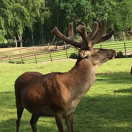 Haus Osterwiese 뤼네부르크