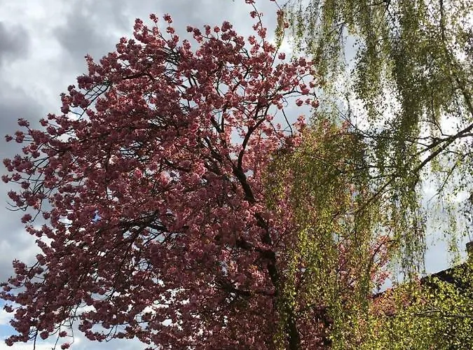 Haus Osterwiese Appartement *