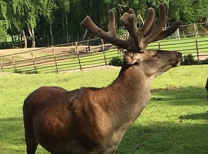 Haus Osterwiese Lüneburg