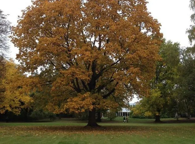 Appartement Haus Osterwiese